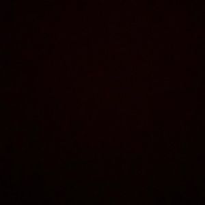 Lot of 5 used Torrid tops size 5 plus size